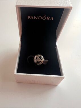Pandora Openwork Charm